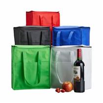 Bolsa Térmica 13 Litros - T2799